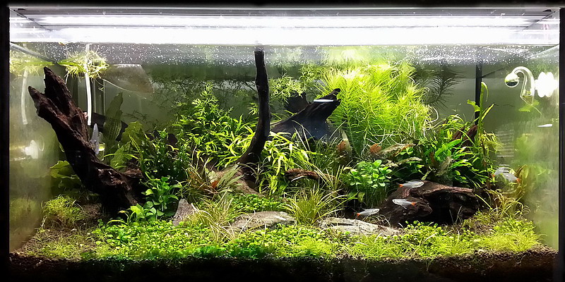 akv�rium_led_vil�g�t�s