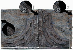 Slim Rock Modul Tusk�s